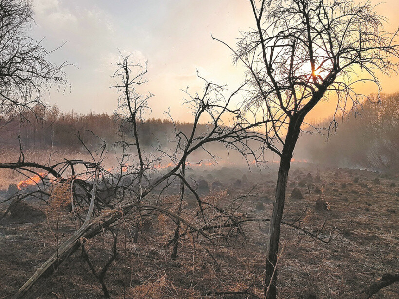 Коломна оказалась в зоне пожарной опасности из-за жары и стихийного бедствия в Рязанской области