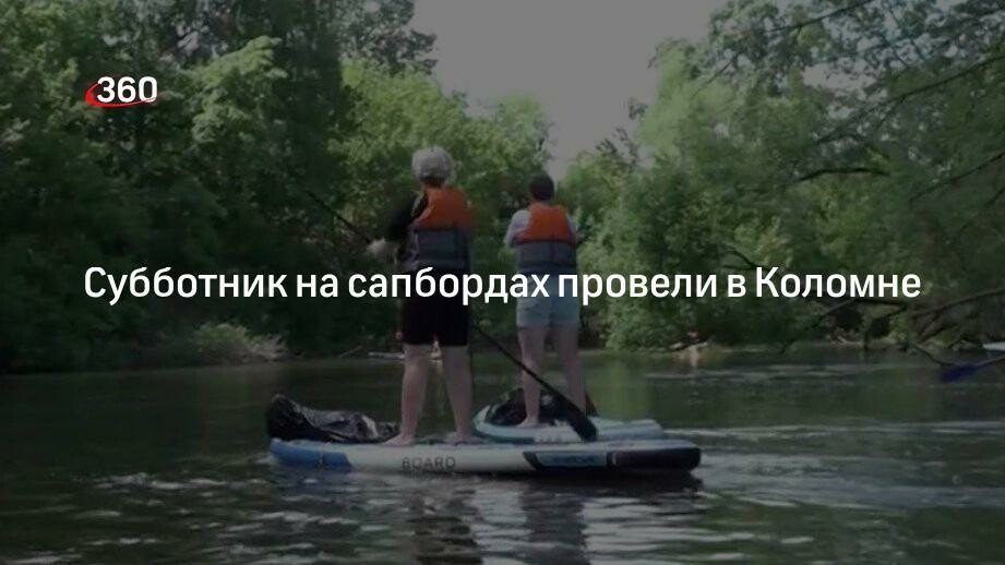 Экоактивисты провели субботник на реке Коломенке