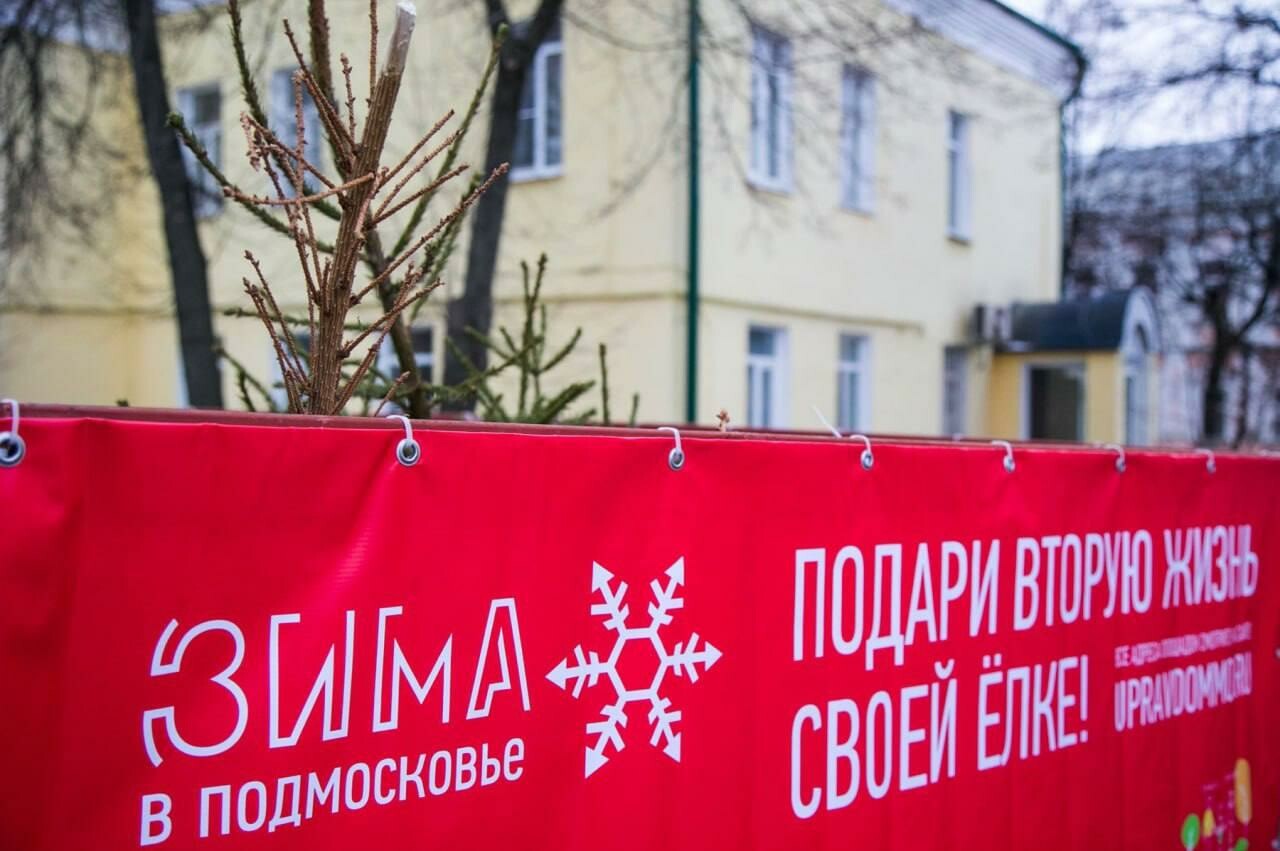 Городской округ Коломна присоединился к ежегодной экологической акции «Подари своей ёлке вторую жизнь»
