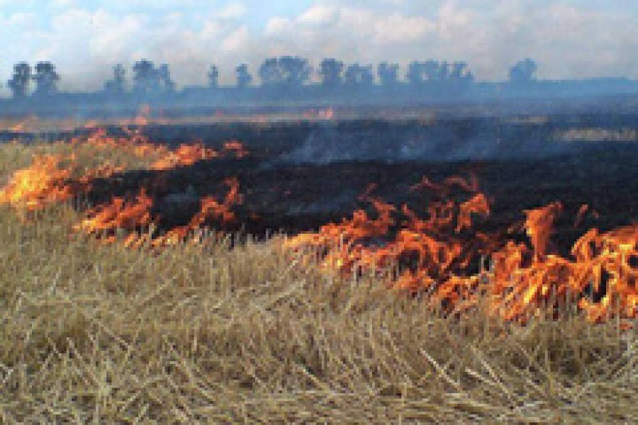 Напоминание о запрете сжигания сухой травы