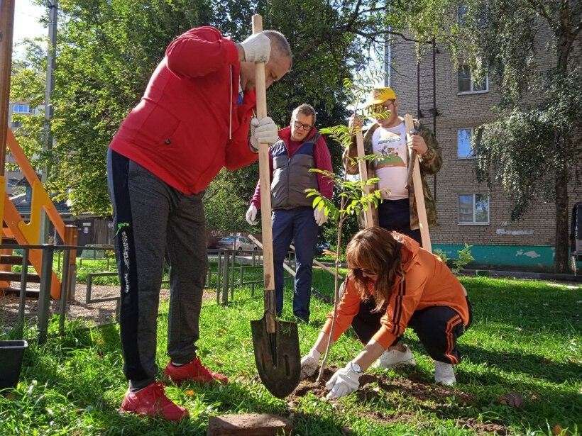 Жители городских дворов в Коломне присоединятся к акции «Наш лес. Посади своё дерево»